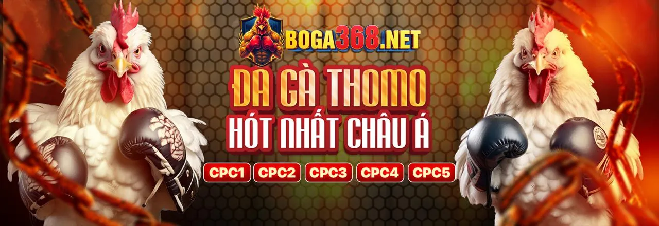 Tin tức Thomo68 Login mới nhất